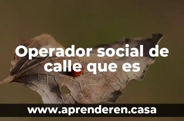 Que es pulcritud social 3 Operador social de calle que es