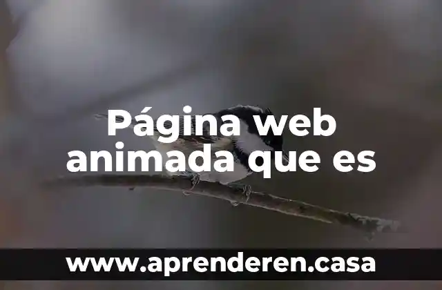 Página web animada que es