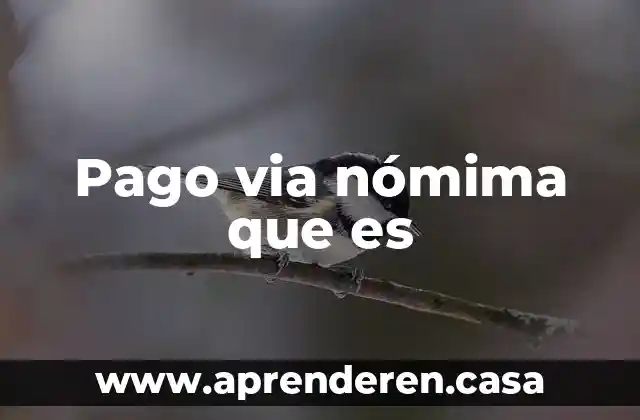 Que es unafactura de pago 6 Pago via nómima que es