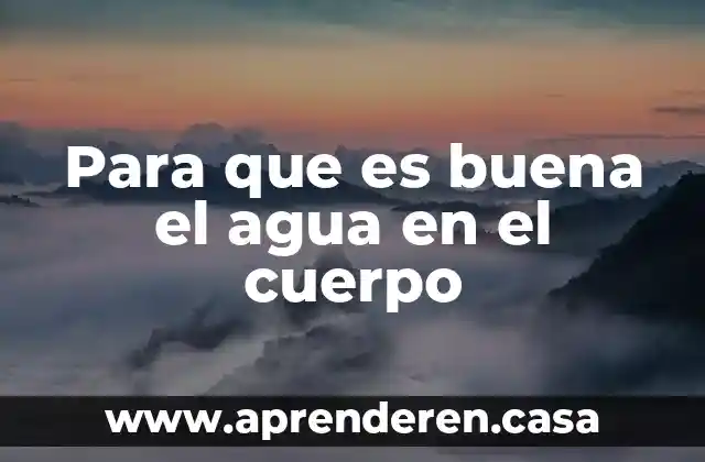Para que es buena el agua en el cuerpo