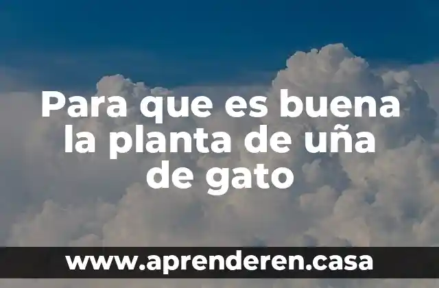 Para que es buena la planta de uña de gato
