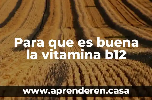 Para que es buena la vitamina b12