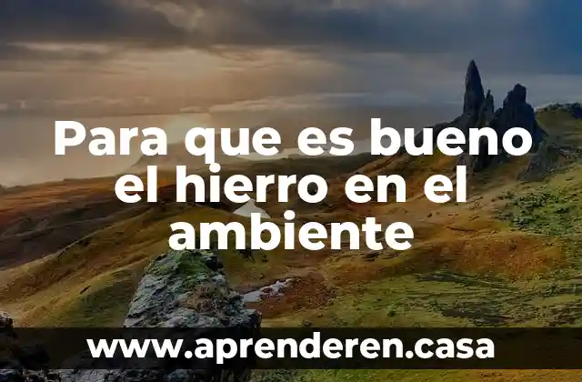 Qué es un material de hierro 3 Para que es bueno el hierro en el ambiente