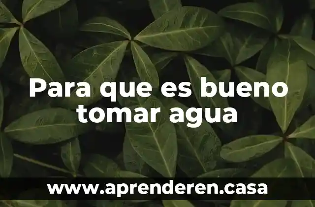 Para que es bueno tomar agua