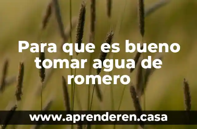 Para que es bueno tomar agua de romero