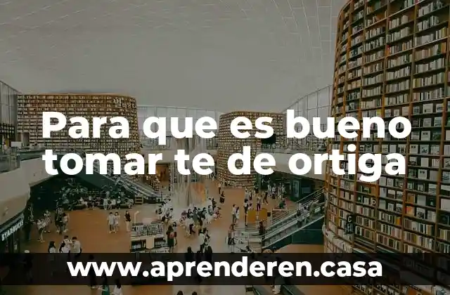 Para que es bueno tomar te de ortiga