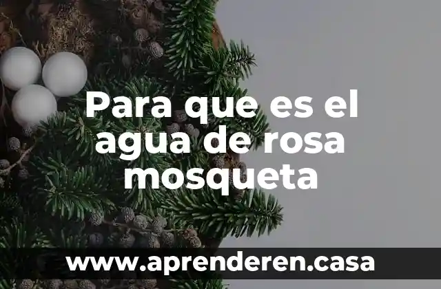 Para que es el agua de rosa mosqueta