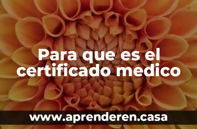 Para que es el certificado medico