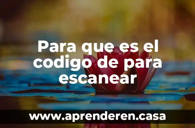 Para que es el codigo de para escanear