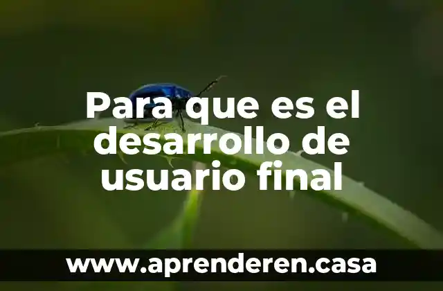 Que es la autoevaluacion en el desarrollo humano 7 Para que es el desarrollo de usuario final