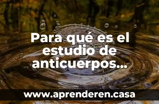 Que es el estudio de mercado ejemplo 5 Para qué es el estudio de anticuerpos antifosfolipidos