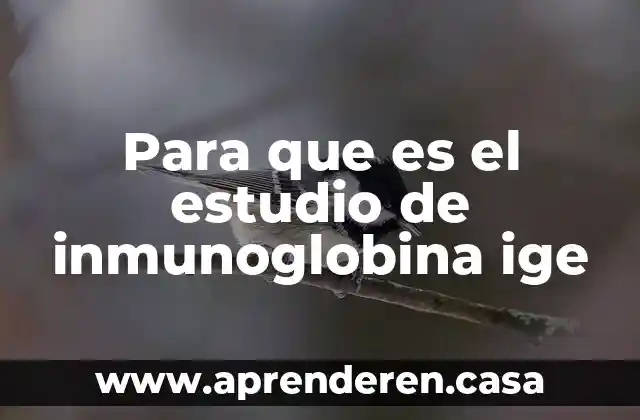 Para que es el estudio de inmunoglobina ige