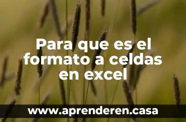 Para que es el formato a celdas en excel