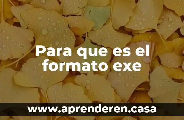 Para que es el formato exe