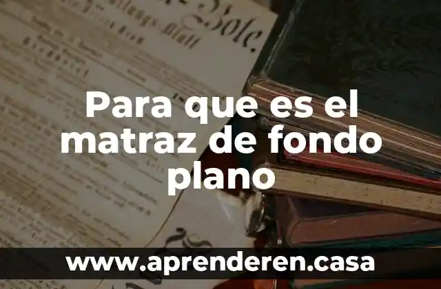 Que es un plano parasagital 4 Para que es el matraz de fondo plano