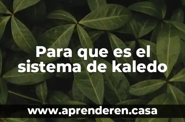 Que es sistema term 3 Para que es el sistema de kaledo