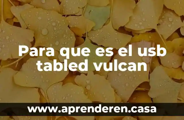 Para que es el usb tabled vulcan