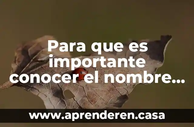 Para que es importante conocer el nombre de las emociones