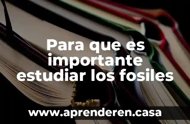 Para que es importante estudiar los fosiles