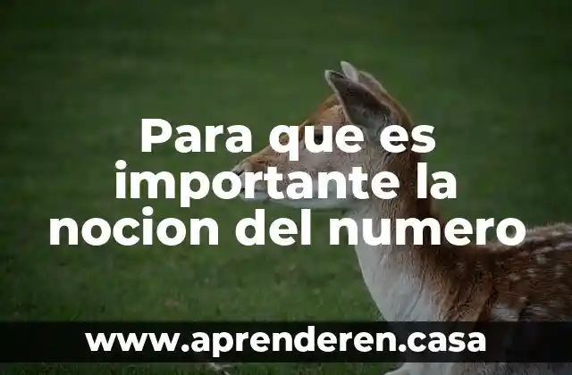 Para que es importante la nocion del numero