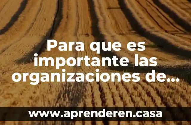 Para que es importante las organizaciones de enfermeria