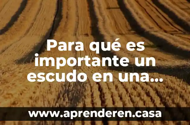 Que es un montaje tipo escuela 4 Para qué es importante un escudo en una escuela