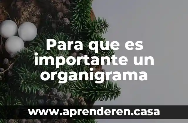 Para que es importante un organigrama