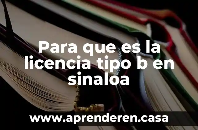 Para que es la licencia tipo e 3 Para que es la licencia tipo b en sinaloa