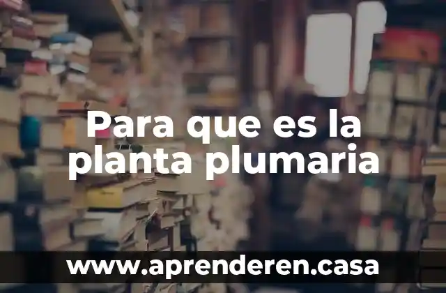 Para que es la planta plumaria