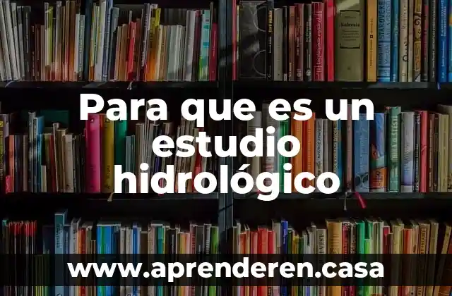 Que es el estudio de mercado ejemplo 4 Para que es un estudio hidrológico