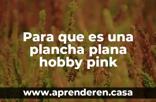 Para que es una plancha plana hobby pink