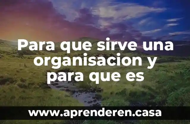 Femafee que es y para que sirve 5 Para que sirve una organisacion y para que es