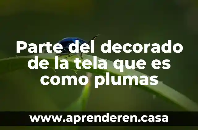 Parte del decorado de la tela que es como plumas