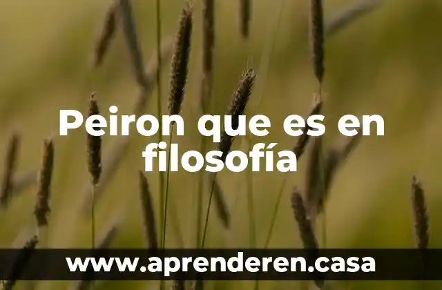 Peiron que es en filosofía