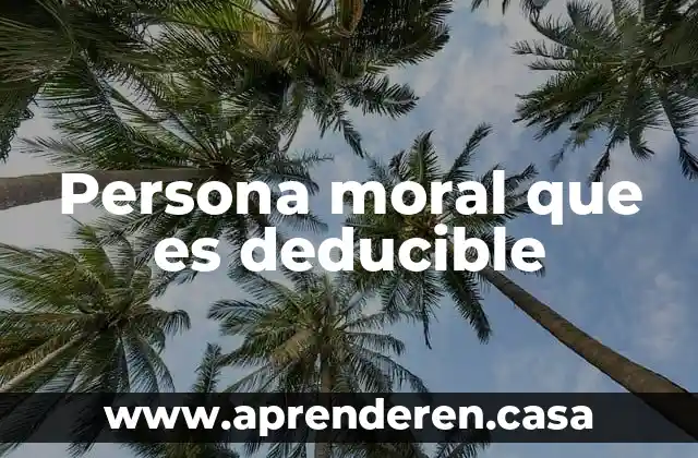 Que es el lenguaje de la moral 5 Persona moral que es deducible