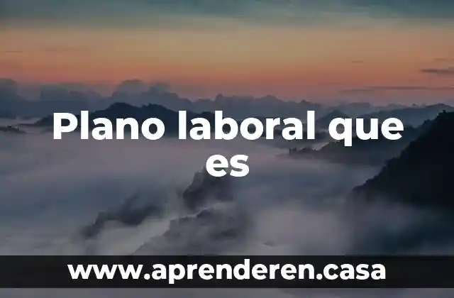 Plano laboral que es