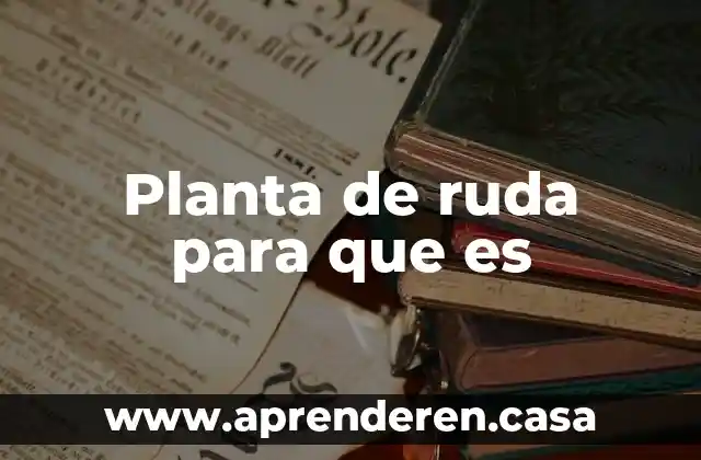 Planta de ruda para que es