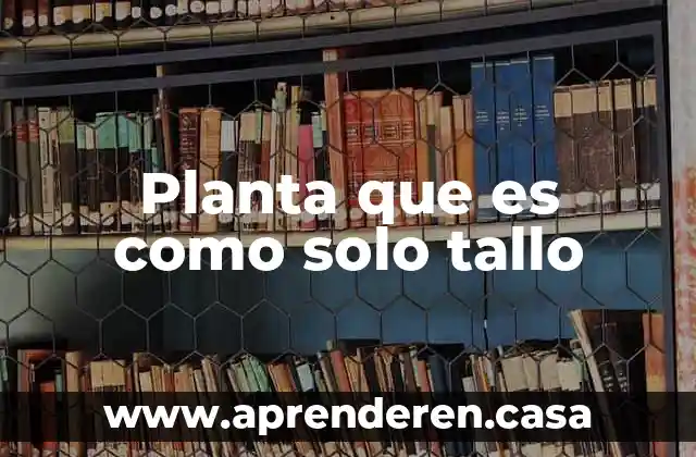 Planta que es como solo tallo
