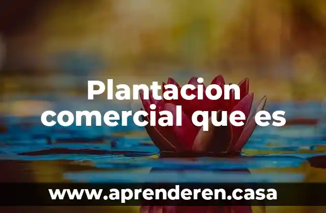 Que es una ciencia de sintesis 7 Plantacion comercial que es