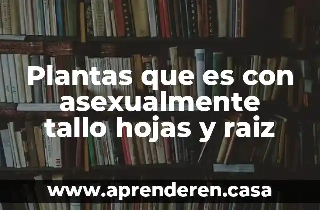Plantas que es con asexualmente tallo hojas y raiz