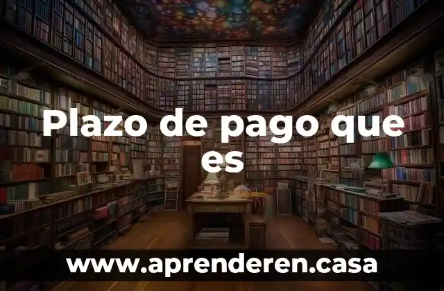Plazo de pago que es