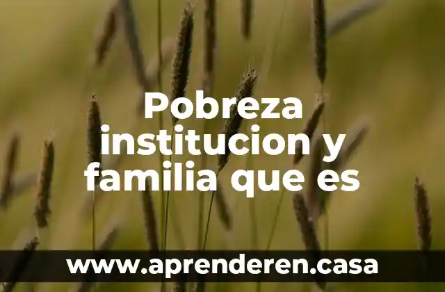 Que es la familia lm 7 Pobreza institucion y familia que es