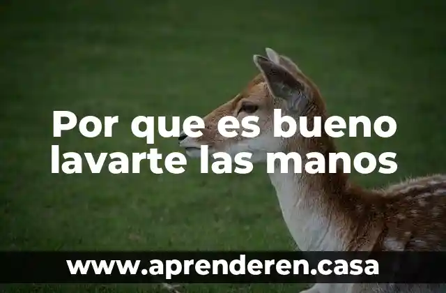 Por que es bueno lavarte las manos