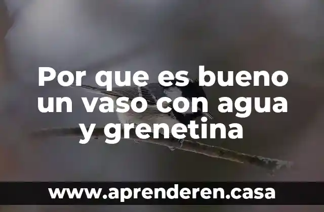Por que es bueno un vaso con agua y grenetina