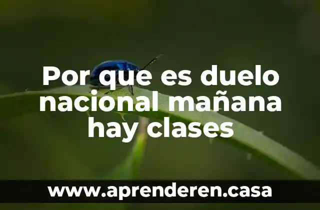 Por que es duelo nacional mañana hay clases
