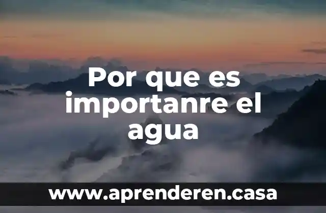 Por que es importanre el agua