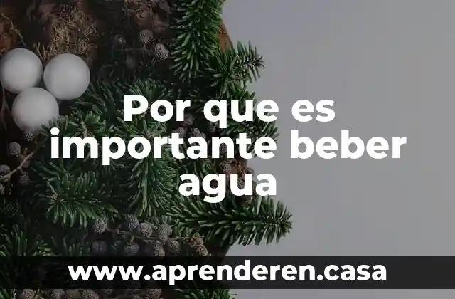 Por que es importante beber agua