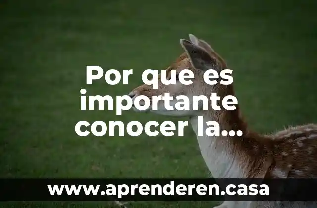 Por que es importante conocer sobre las ets 6 Por que es importante conocer la informacion del vih sida