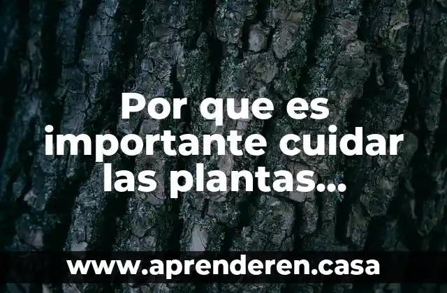 Por que es importante cuidar las plantas carnivoras