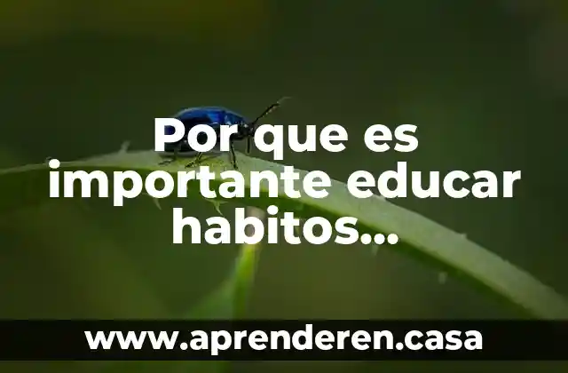 Por que es importante educar habitos alimenticios